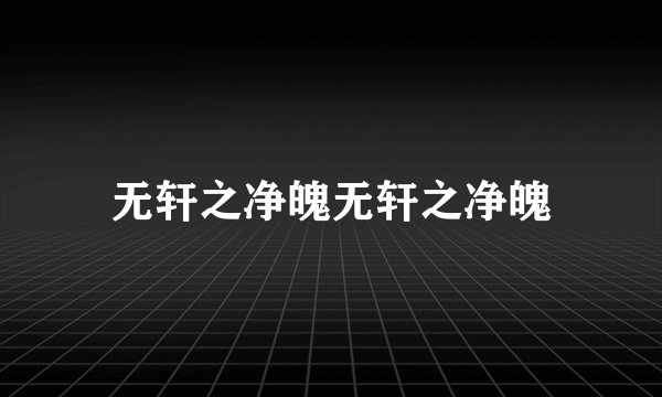 无轩之净魄无轩之净魄