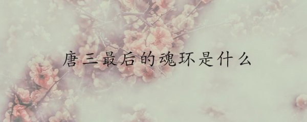 唐三最后的魂环是什么