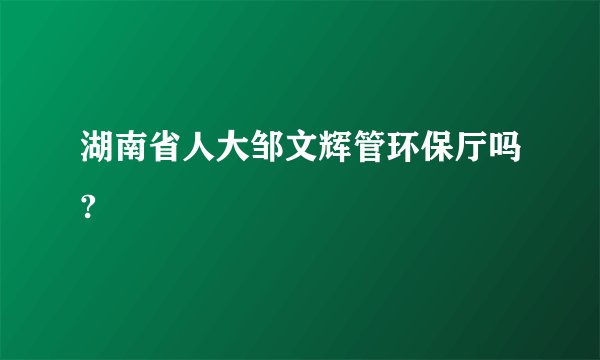 湖南省人大邹文辉管环保厅吗?