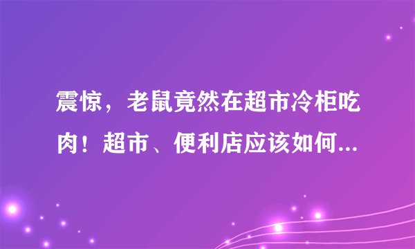 震惊，老鼠竟然在超市冷柜吃肉！超市、便利店应该如何防鼠灭鼠？