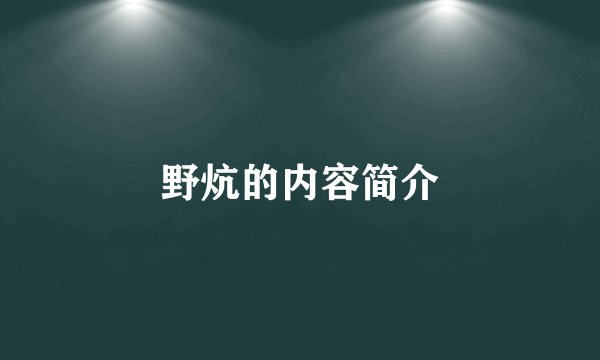 野炕的内容简介