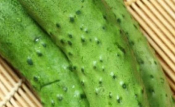 杏鲍菇和黄瓜哪个好用？