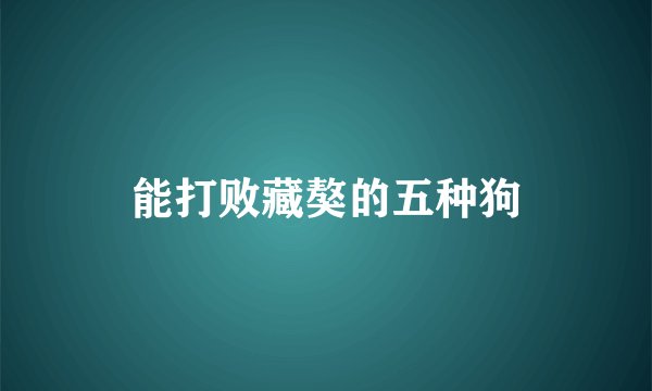 能打败藏獒的五种狗
