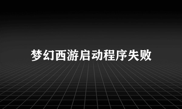 梦幻西游启动程序失败