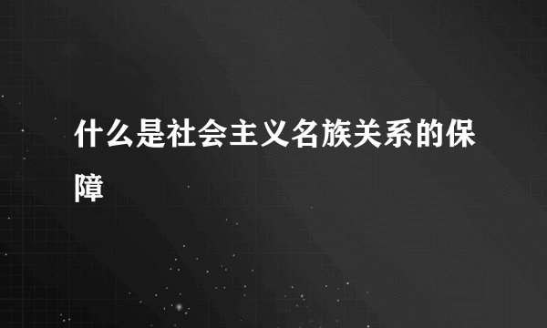什么是社会主义名族关系的保障