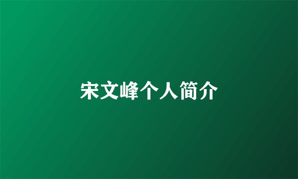 宋文峰个人简介