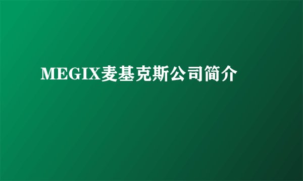 MEGIX麦基克斯公司简介