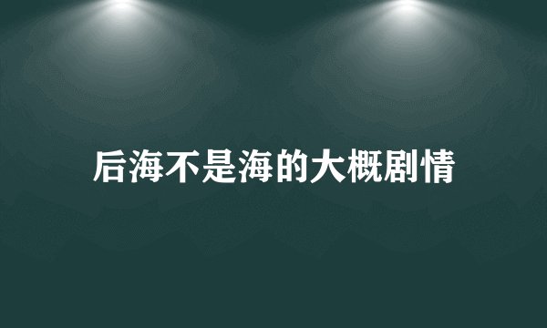 后海不是海的大概剧情