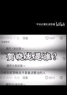 关于贺晓龙和“五问陈梦”