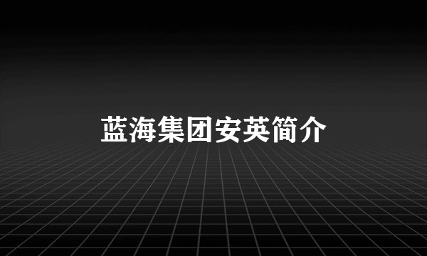 蓝海集团安英简介