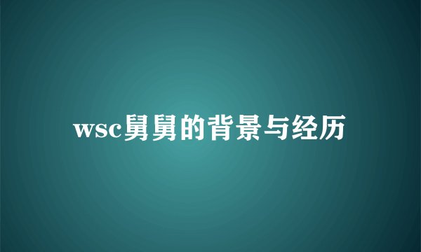 wsc舅舅的背景与经历