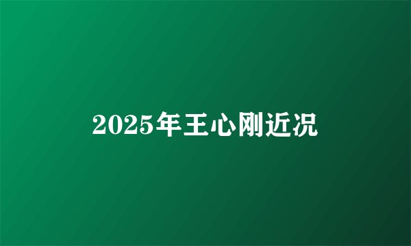 2025年王心刚近况