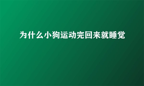 为什么小狗运动完回来就睡觉