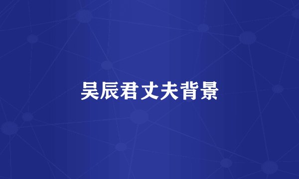 吴辰君丈夫背景