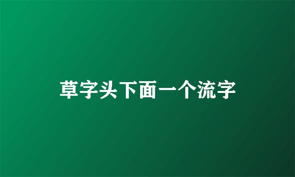 草字头下面一个流字