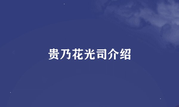 贵乃花光司介绍