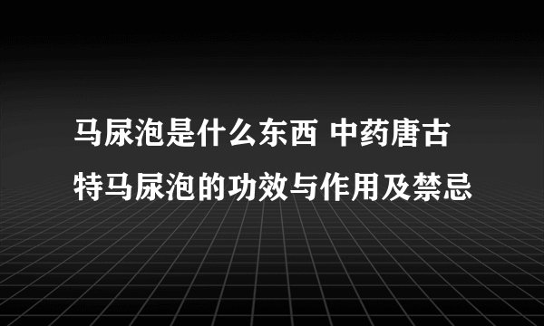 马尿泡是什么东西 中药唐古特马尿泡的功效与作用及禁忌