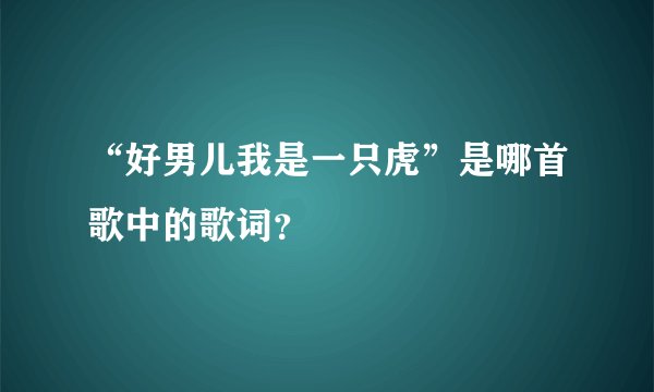 “好男儿我是一只虎”是哪首歌中的歌词？