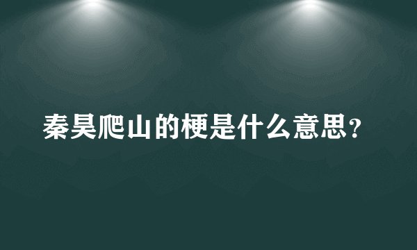秦昊爬山的梗是什么意思？