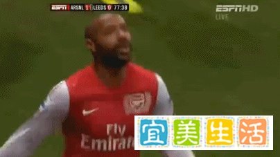 海布里之王——亨利