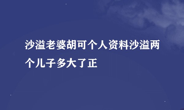 沙溢老婆胡可个人资料沙溢两个儿子多大了正
