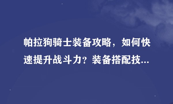 帕拉狗骑士装备攻略，如何快速提升战斗力？装备搭配技巧揭秘！