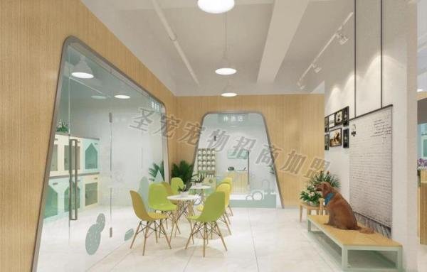 宠物店一年的利润怎么样