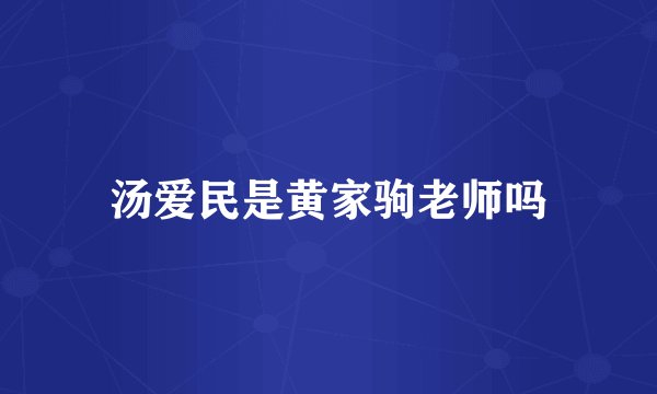 汤爱民是黄家驹老师吗