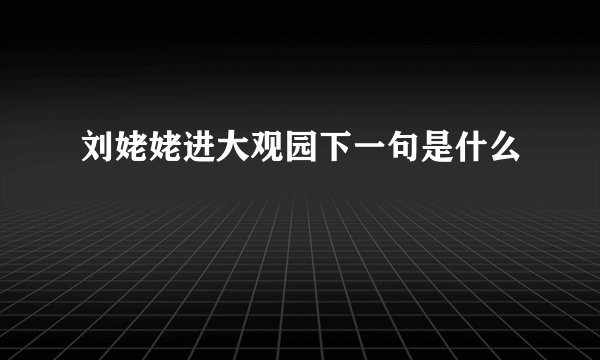 刘姥姥进大观园下一句是什么
