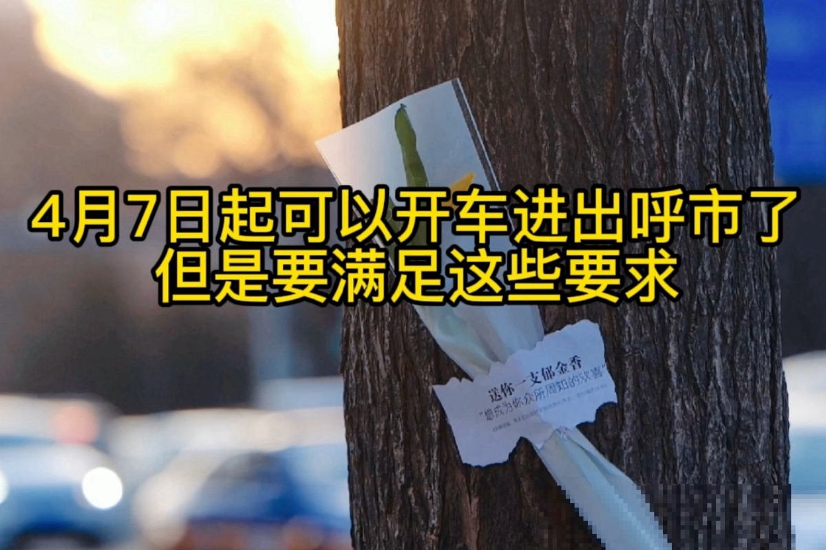 呼市有周六能上牌照的登记服务站吗