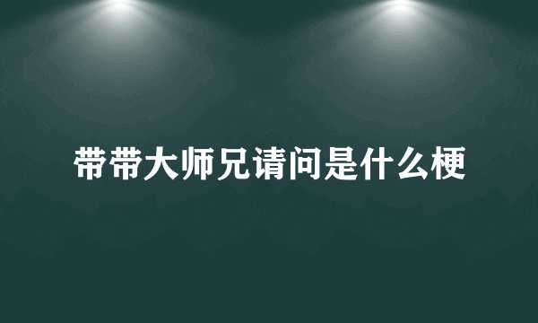 带带大师兄请问是什么梗