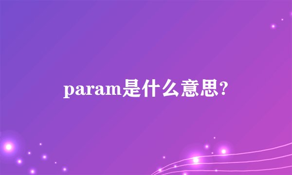 param是什么意思?