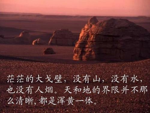 “浑黄一体”在《白杨》的意思