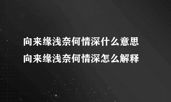 向来缘浅奈何情深什么意思 向来缘浅奈何情深怎么解释