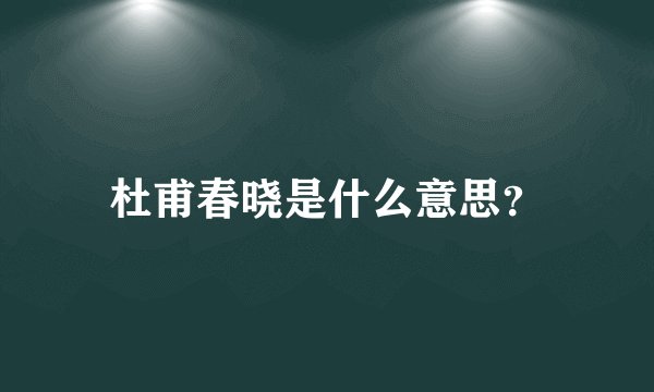 杜甫春晓是什么意思？