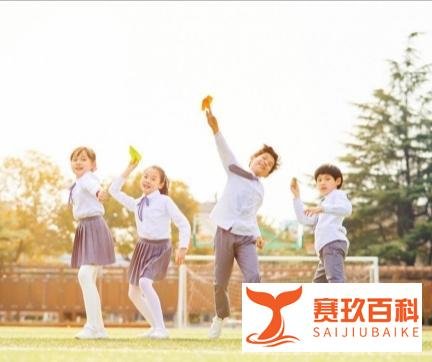 从“N号房“及鲍某明性侵养女案----论如何保护幼女性权益