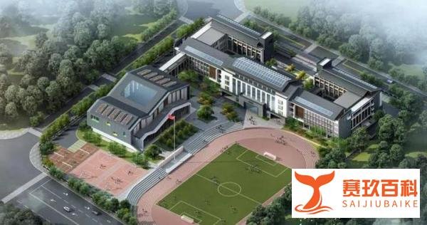百名公办教师在民校任教?官方通报:高度重视,抓紧制定整改方案