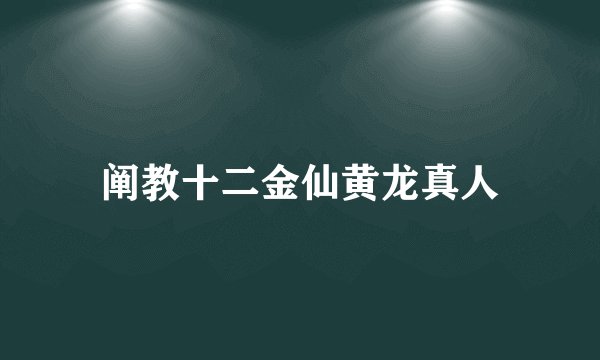 阐教十二金仙黄龙真人
