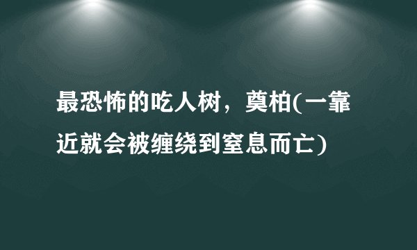 最恐怖的吃人树，奠柏(一靠近就会被缠绕到窒息而亡)
