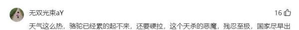闹大了!景区回应骆驼蹦起将游客摔下地,网友评论区炸锅!