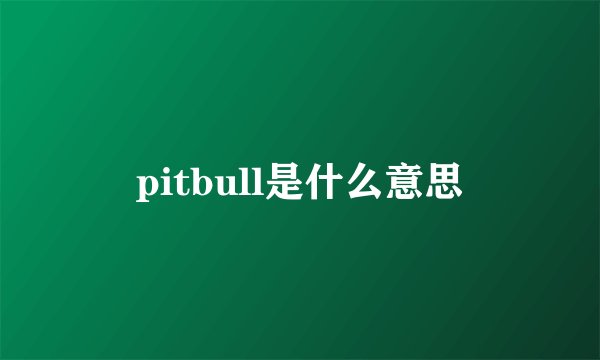 pitbull是什么意思