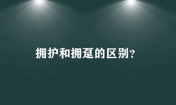 拥护和拥趸的区别？