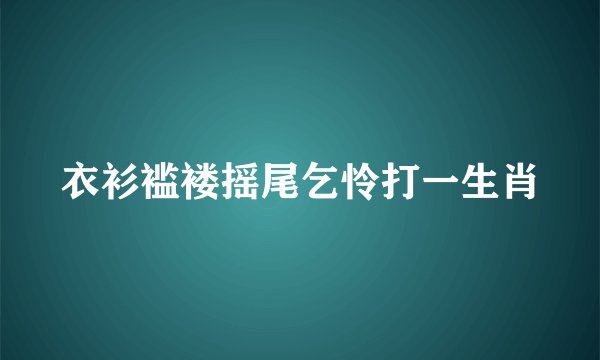 衣衫褴褛摇尾乞怜打一生肖