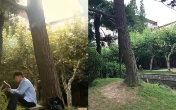 《何以笙箫默》长尾效应绝了，罗云熙7年预言成真，彼此顶峰相见