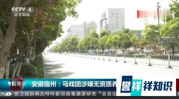 河南伤人老虎所属马戏团无养虎资格 这是咋情况?