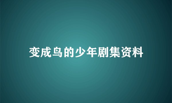 变成鸟的少年剧集资料