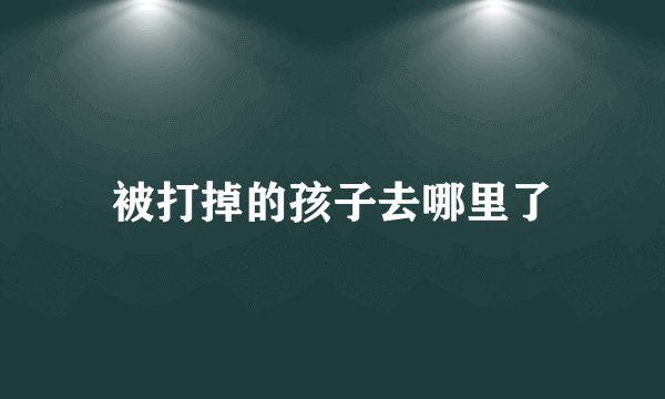 被打掉的孩子去哪里了