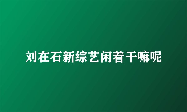刘在石新综艺闲着干嘛呢