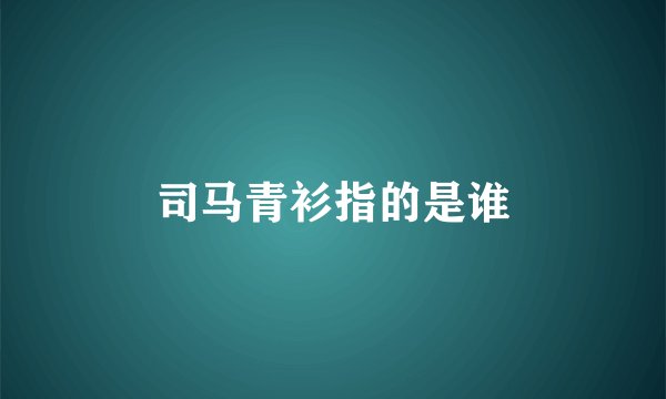 司马青衫指的是谁