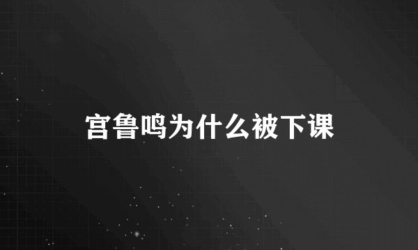 宫鲁鸣为什么被下课